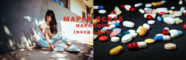 гашиш Богданович