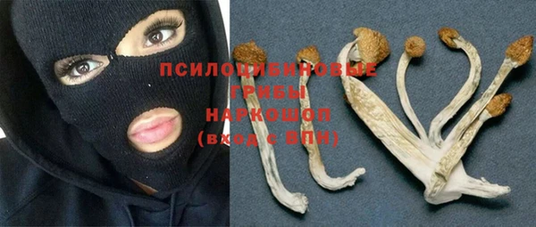 мдпв Богородск