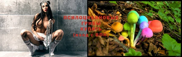 гашиш Богданович