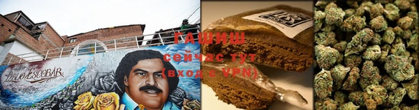 гашиш Богданович