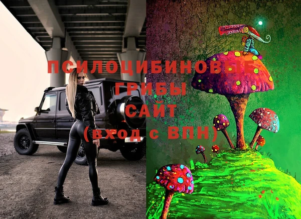 гашиш Пересвет